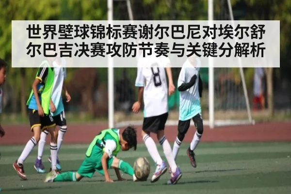 世界壁球锦标赛谢尔巴尼对埃尔舒尔巴吉决赛攻防节奏与关键分解析（kaiyun.com）
